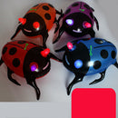 Inflatable Ladybug, 19inch Party Decoration Birthday Gift