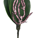 Artificial Green Rose Leaves/Butterfly Orchid  Silk Leaf Beauty Plant Decor 3C