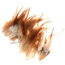 50x Rooster Feather DIY Decor Creative Jewelry Hats 10-15cm
