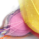50 Pieces Mix Colors Natural Magnolia Skeleton Leaves Leaf Large - 13 - 15cm in