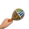Hand Painted Maraca & Tribal Style Dora Nut Handbell Set Hand Percussion