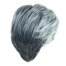 Men Short Hair Wigs for Men Wig Natural Looking Wig