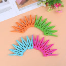 24Pcs Laundry Clothes Pins Hanging Pegs Clips Plastic Hanger Racks ClothespOZ