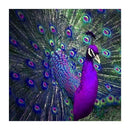 5D DIY Bird Diamond Embroidery Painting Full Drill Rhinestones Cross Stitch
