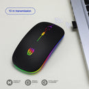 Wireless Mouse 2.4GHz Receiver 1600DPI Colorful Backlight Mice for Laptop PC