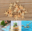 20 Cute  Small Mini Starfish Sea Star Shell Beach Deco Craft DIY Making 3cm-5cm