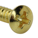 10pcs Permium Golden Screws fit Electric Guitar Pickguard Parts Accessories