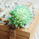 4Pcs/Set Artificial Succulent Plants + White Square Ceramic Pots succulent  F4F8