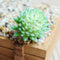 4Pcs/Set Artificial Succulent Plants + White Square Ceramic Pots succulent  F4F8