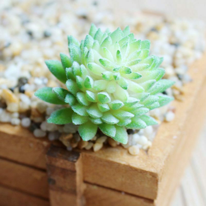 4Pcs/Set Artificial Succulent Plants + White Square Ceramic Pots succulent  F4F8