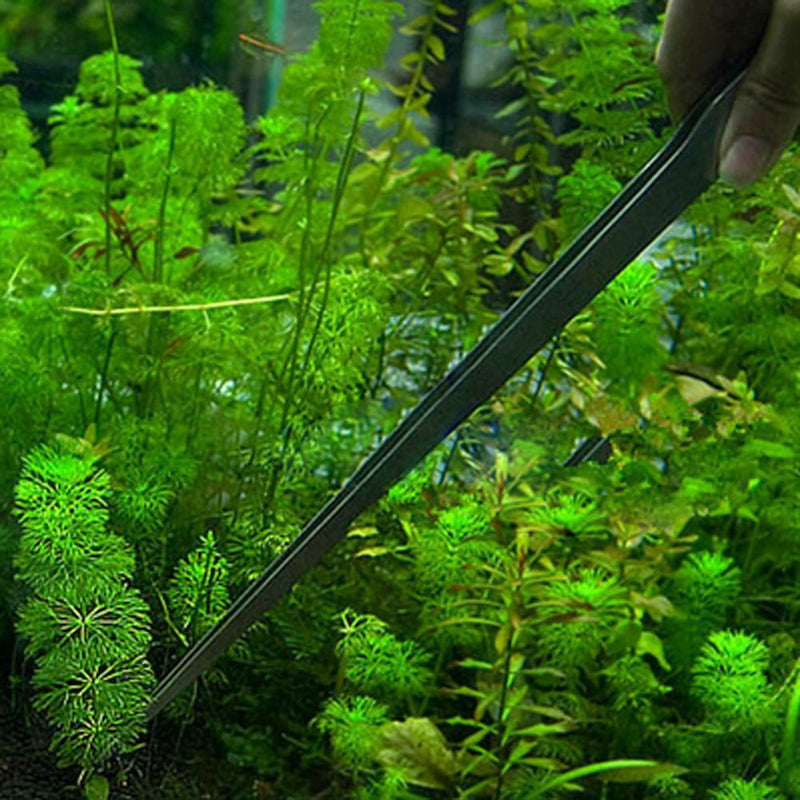 Universal 27CM Aquarium Plant Shrimp Reef Tank Straight Tweezer Straight A