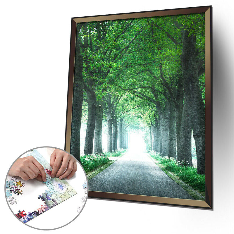 1000pcs Path Paper Puzzles Adults Kids Jigsaw Educational Game Toys Gift