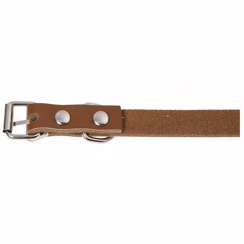 Leather collar for dogs cats puppy animal XS Brown