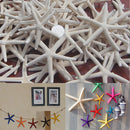 KF_12Pcs White Finger Starfish Pointer Sea Beach Wedding Coastal Decor Craft