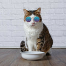 Lovely Dog Cat Glasses Pet Eye Protection Sunglasses Photos Props (Color) A