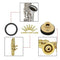 Alto Saxophone Sax Accessory Kit Reeds+Practice Mute+Silencer Ring for Begi
