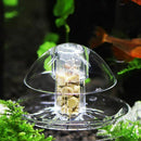 Snail Trap For Fish Tank,Aquarium Fish Plant Tank Plastic Clear Snail Trap  M6E8