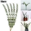 10Pcs/Bouquet Dried Natural Eucalyptus Branches Leaves Flower Decors New