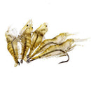 5 Pcs Lures Bait Shrimp Fishing Simulation Prawn Saltwater Hooks Fish Supplies ^