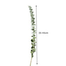 10pcs Natural Dried Flower Eucalyptus Branches Leaves Bouquet Home Decor Tool