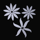3Pcs/Set Metal Leaves Cutting Dies Stencils For DIY Scrapbooking Embossing