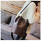 Women Large Capacity Alligator Bucket Bags Crocodile Pattern Handbag Casual I1A4