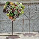 Heart Shape Iron Wire Frame Succulent Pot Rack Wedding Garden Decor, rustic