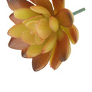 2 Pcs Lifelike Artificial Succulent Real Touch Plastic Plant Home Decoration