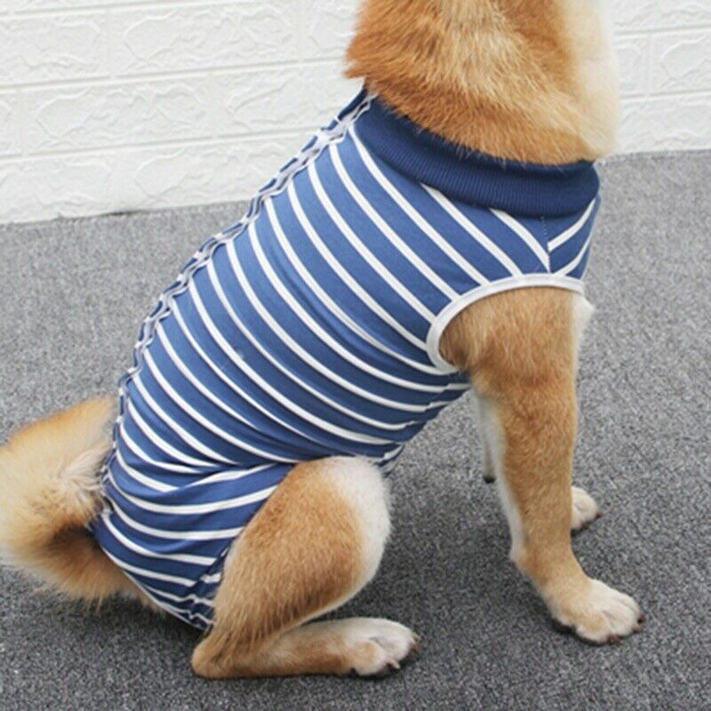 Dog Recovery Suit Puppy Medical Care Suit Clothing and After Surgery Wear A