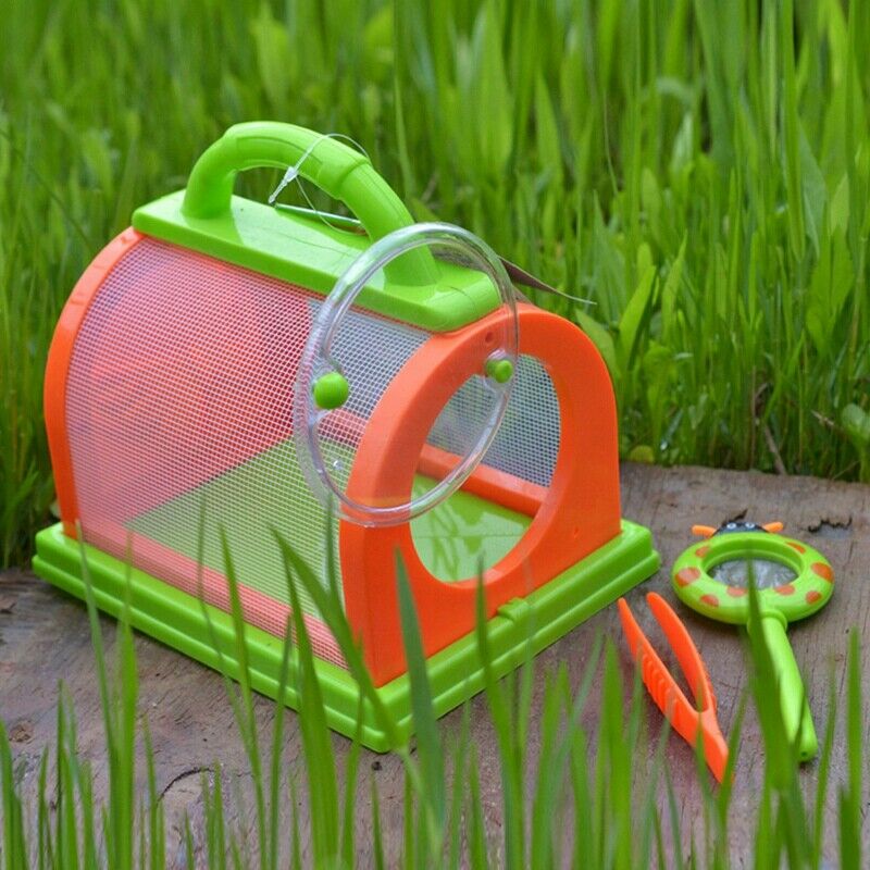 Bug Box Small Pet Observation Box Children'S Portable Plastic Bug Cage Box