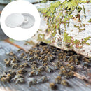 Bee Feeder Round Hive Top Beekeeping Entrance Feeder Honey Bee Hive Feeder