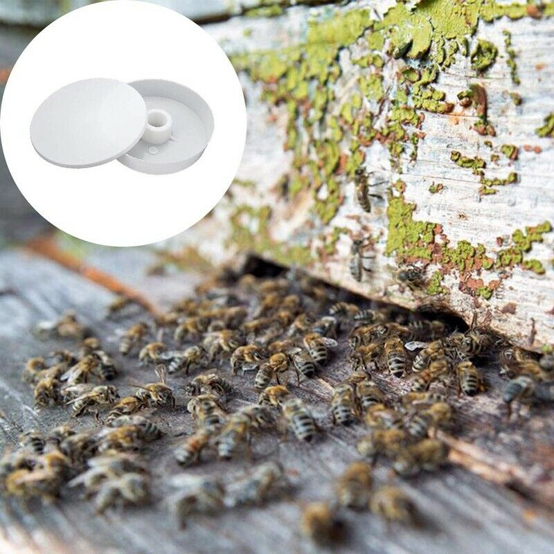 Bee Feeder Round Hive Top Beekeeping Entrance Feeder Honey Bee Hive Feeder