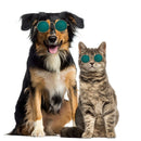 Lovely Dog Cat Glasses Pet Eye Protection Sunglasses Photos Props (Green) A