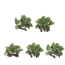 5PCS 9 X 6 X 8cm Aquarium Decor Fish Tank Decoration Ornament Artificial Plastic
