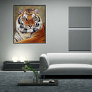 Tiger  5D Diamond DIY Painting  Kit Home Decor Craft(30 X 40cm)