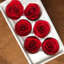 Eternal Roses Heads,Real Natural Fresh Preserved Rose,Beauty And The Beast  N4J3