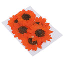 6pcs Pressed Dried Real Flower Sunflower Scrapbooking Embellishments Orange