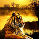 Diamond Painting Kits Tiger Full Round Drill Handicrafts Home Art (B2313)