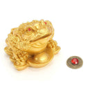 KiWarm Feng Shui Money LUCKY Fortune Wealth Chinese For Frog V7L9 Toad Home I2P2