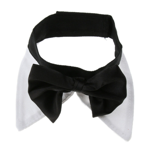 Adjustable Pet Dog Collar Special Designed Collars for Dogs Cats White L