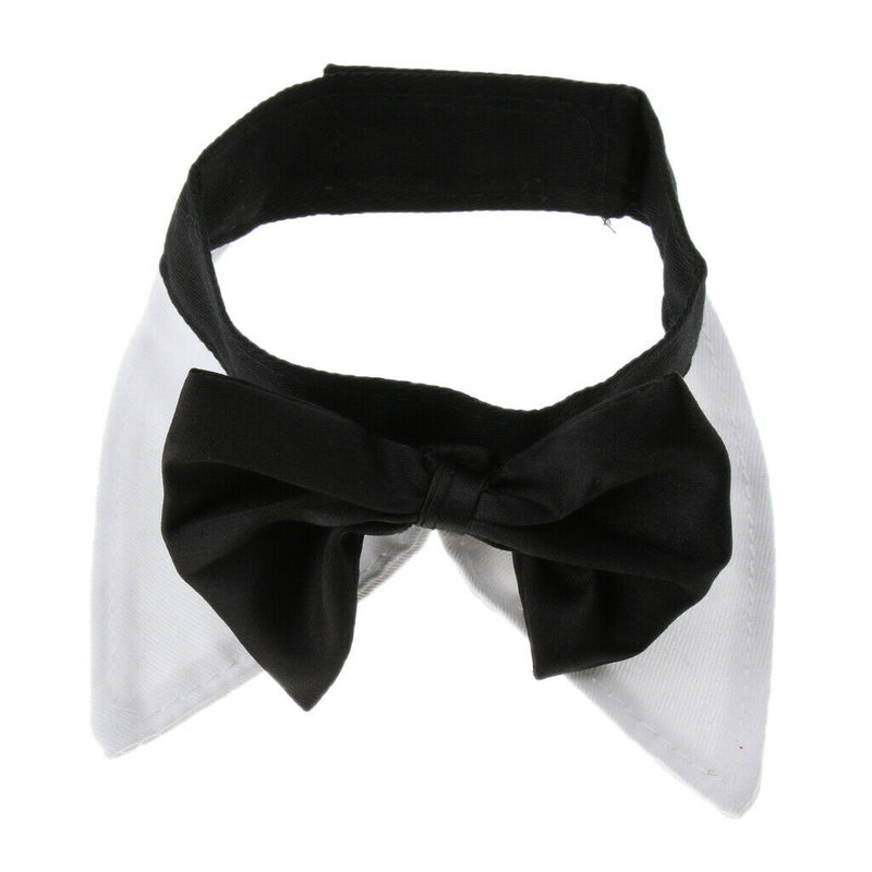 Adjustable Pet Dog Collar Special Designed Collars for Dogs Cats White L