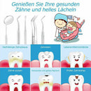 10 piece stainless steel tooth care probe dental tool set BX