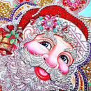 Special Shaped Diamond Painting DIY 5D Partial Drill Cross Stitch Kits Sant
