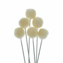 50 Pieces Wool Daubers Ball Brush Leather Dye Dauber Dyeing Applicator with