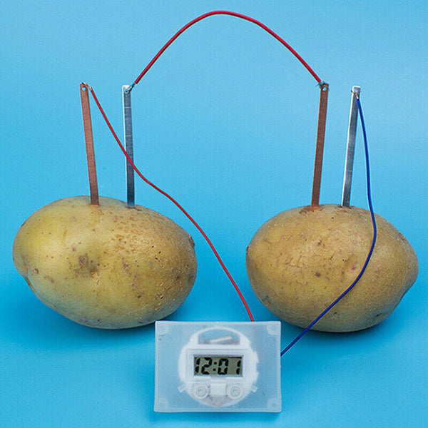 Children bio energy science kit fun potato supply electricity experiments  jJ Bj