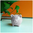 Ceramic Keepsake Piggy Bank, Pink R5G9