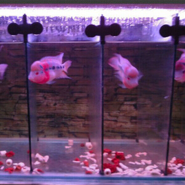 Aquarium Fish Tank Plastic Sucker Clip Divider Sheet Holder Black 10 pcs N6X9