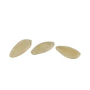 Cucumber - White Angel Organic Vegetable Seed