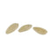 Cucumber - White Angel Organic Vegetable Seed