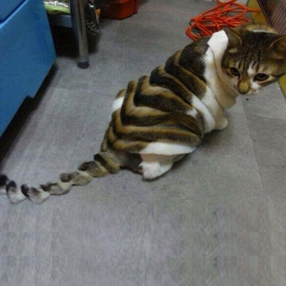 Pet Grooming Shear Dog Cat Hair Thinning Scissors Barber Shop Necessity